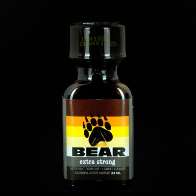 Фото Bear