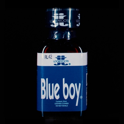 Фото Blue Boy